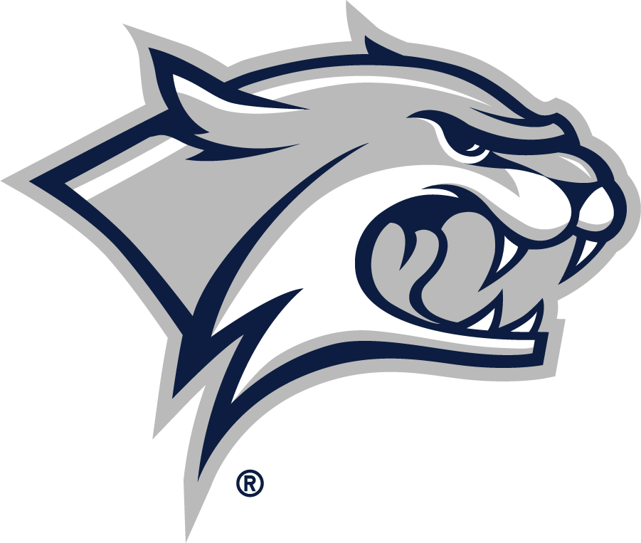New Hampshire Wildcats 2019-Pres Primary Logo diy iron on heat transfer...